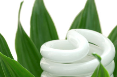 New Eco Bulbs