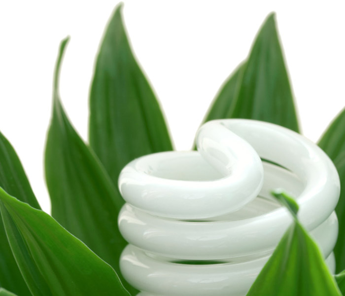 New Eco Bulbs